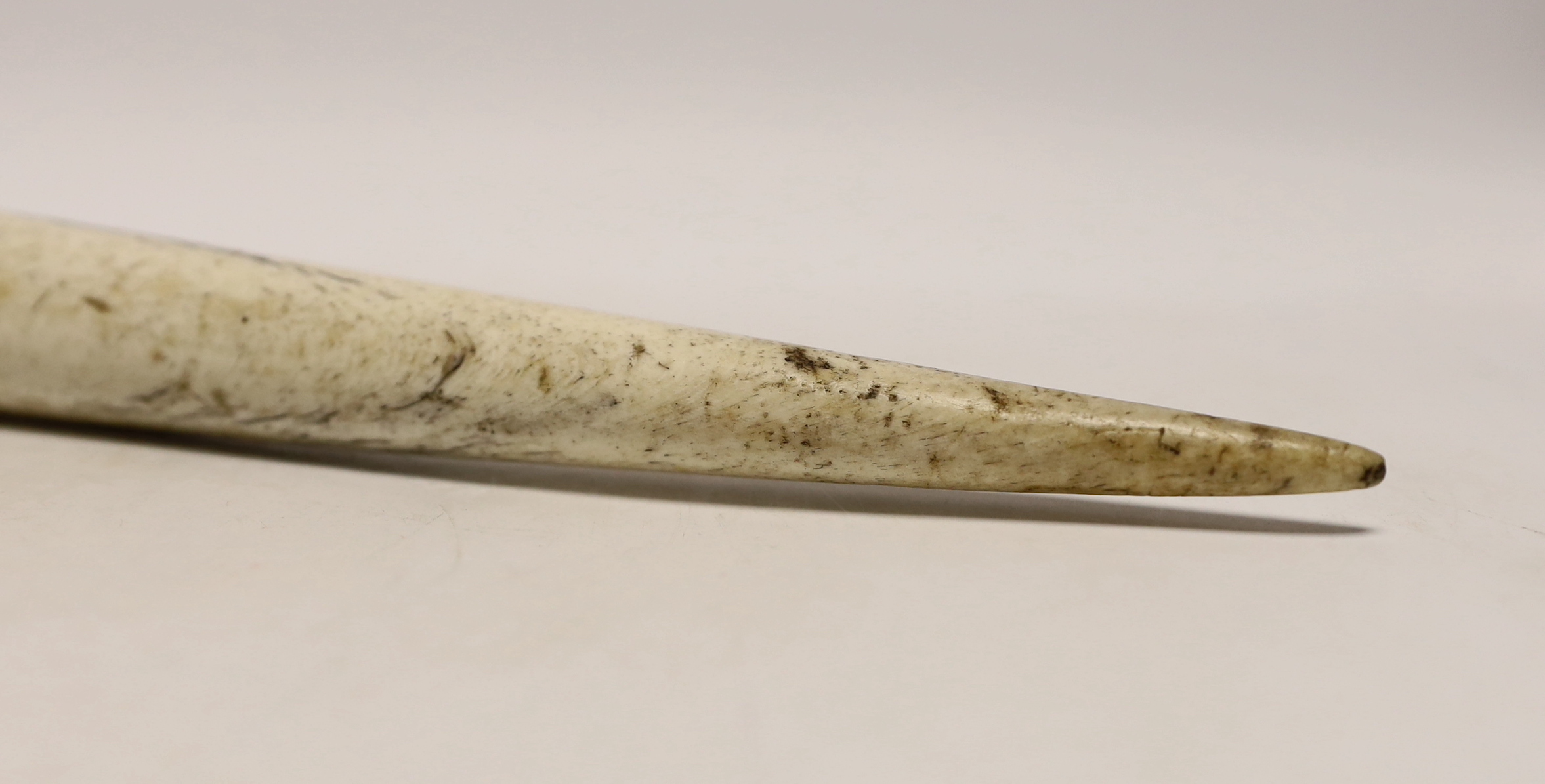 A large 19th century whalebone fid, 46cm long